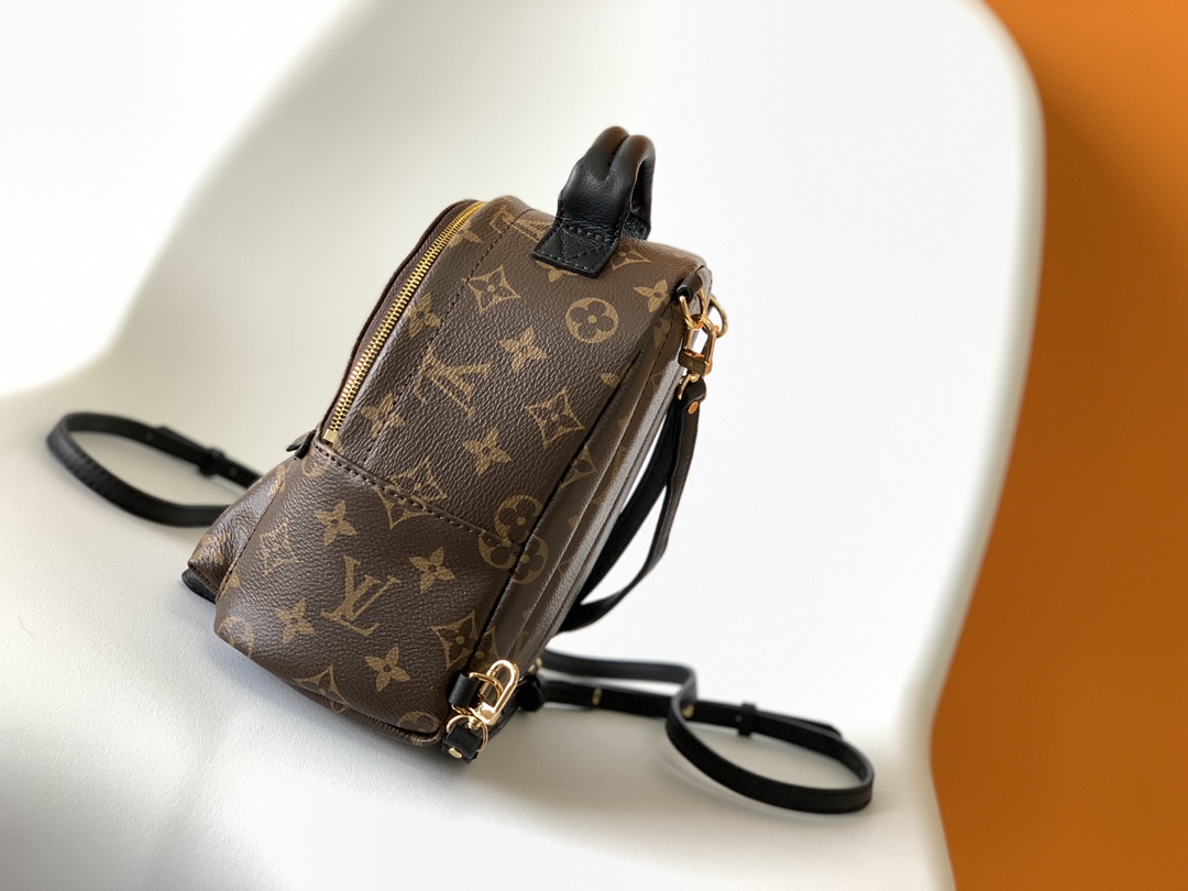 L*ouis V*uitton Bag Top Quality 15*22*9cm