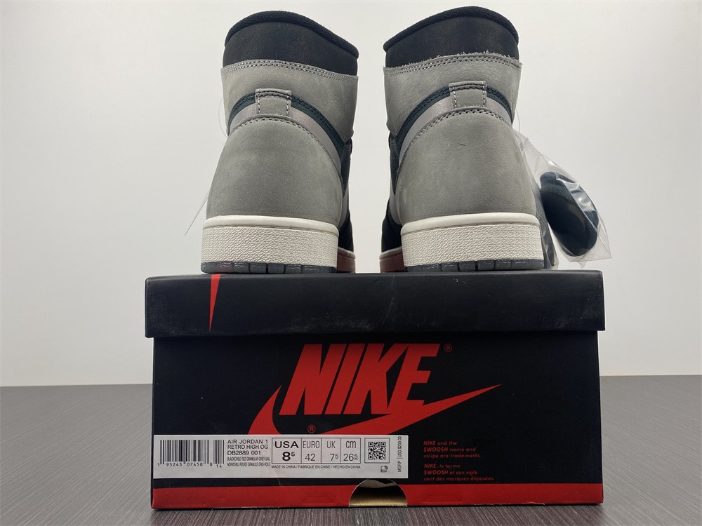 Air Jordan 1 Element Gore-Tex 3M