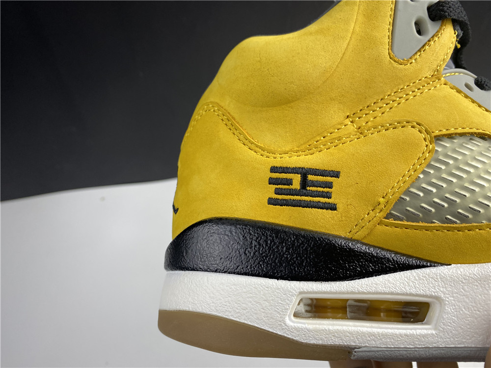 Air Jordan 5 Tokyo 454783-701