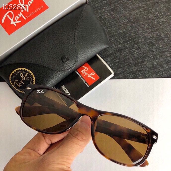 R*ayban Glasses Top