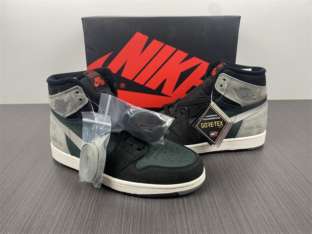 Air Jordan 1 Element Gore-Tex 3M