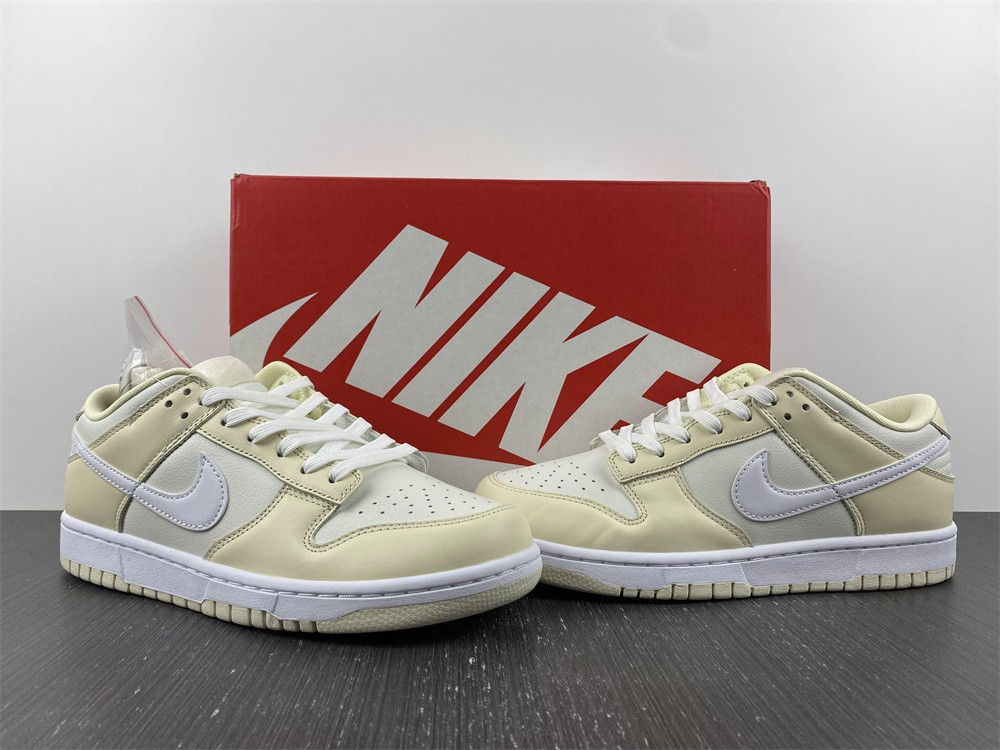 from SB Dunk Low DJ6188-100