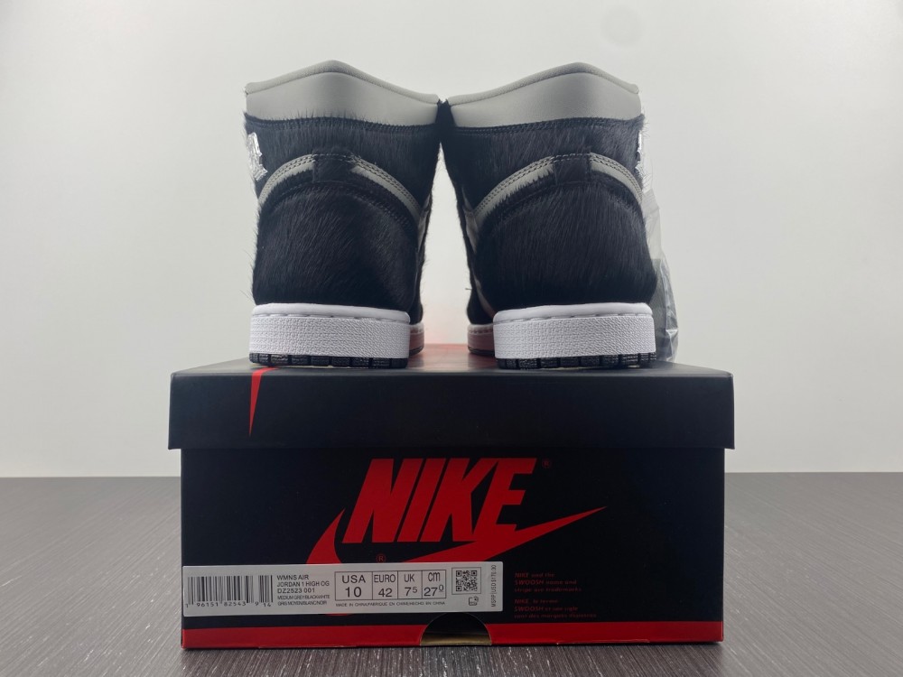 Air Jordan 1