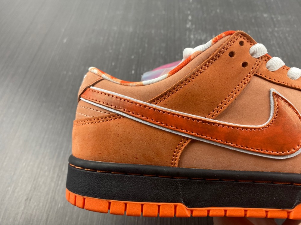 from Concepts x Nike SB Dunk Low FD8776-800