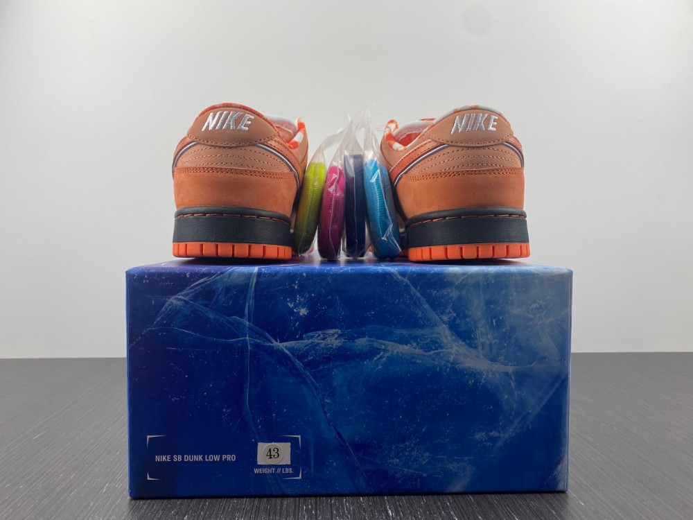 from Concepts x Nike SB Dunk Low FD8776-800
