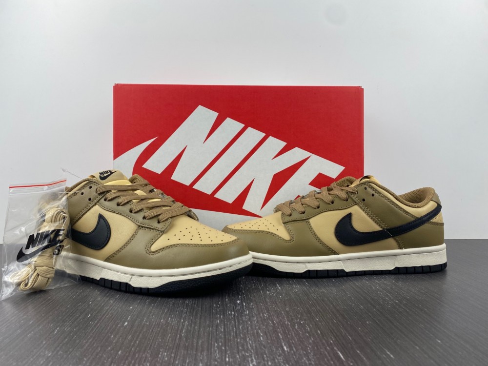 from Nike SB Low Dark Driftwood DD1503-200