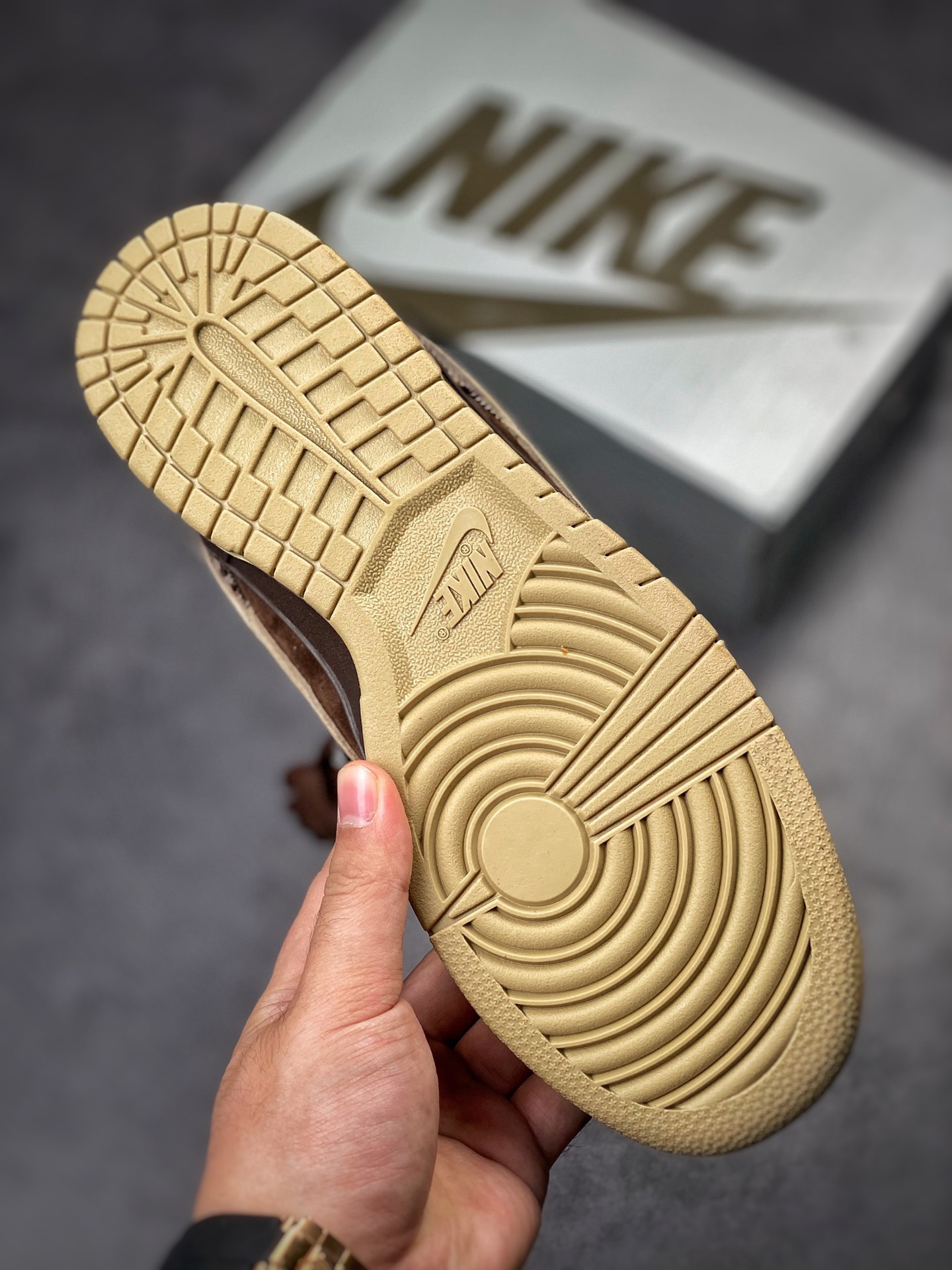 Nike dunk SB Low