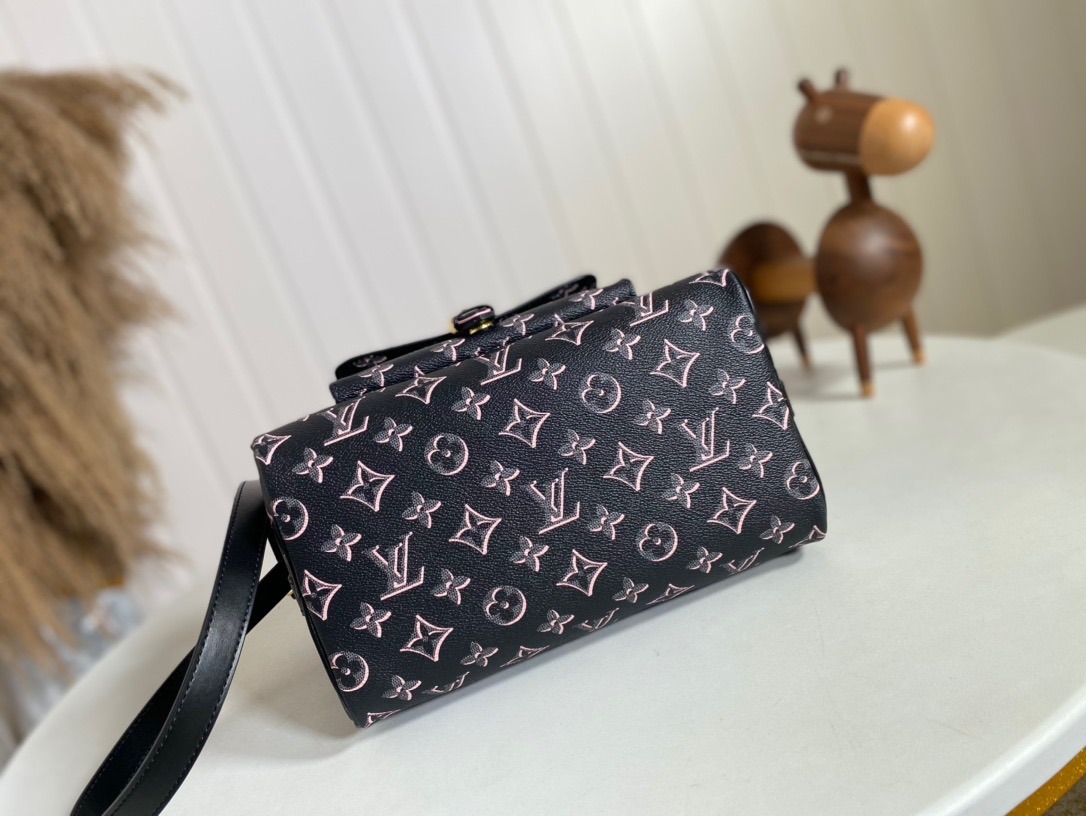 L*ouis V*uitton m20852 Top Bag