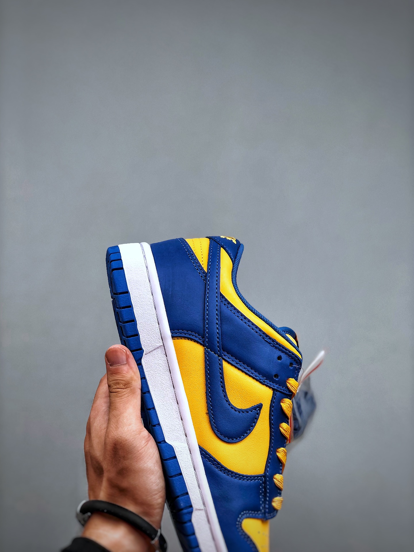 Nike SB Dunk low
