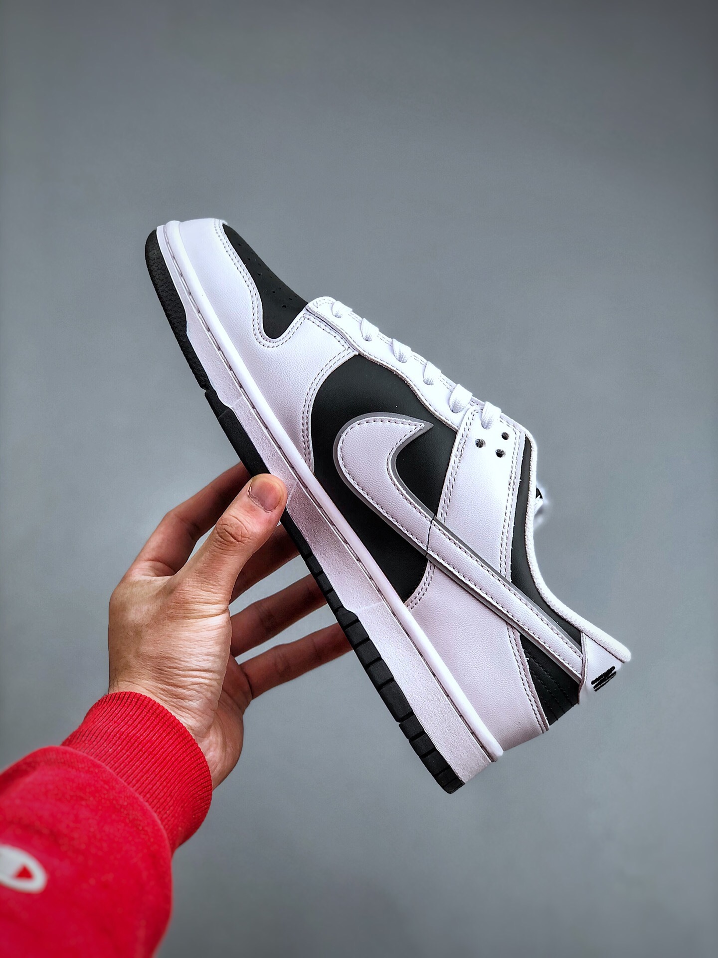Nike SB Dunk Low