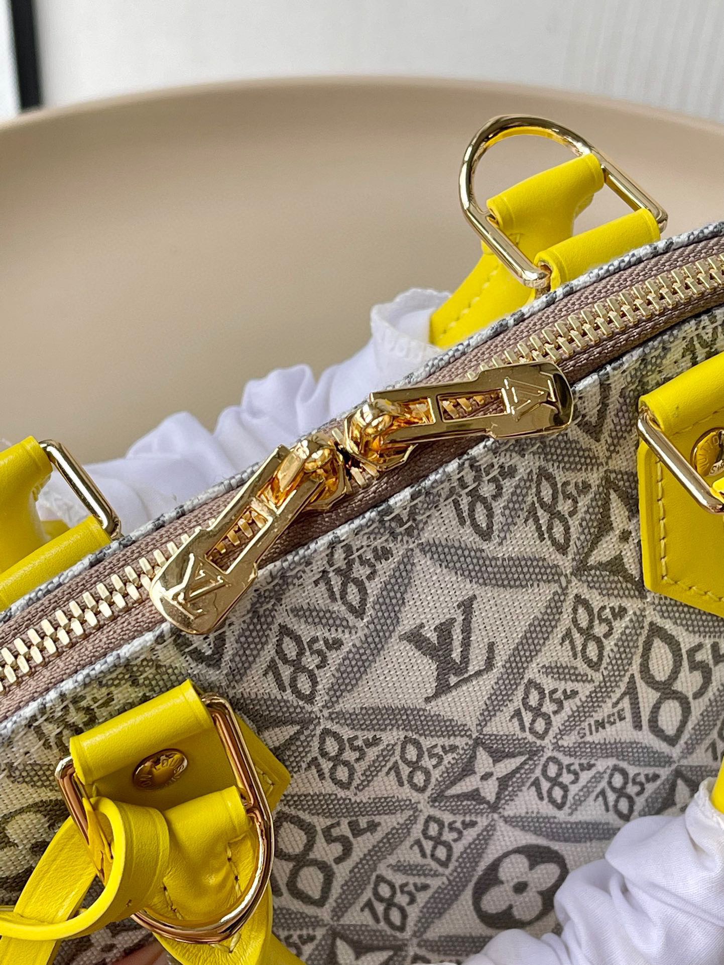 L*ouis V*uitton Top Bag
