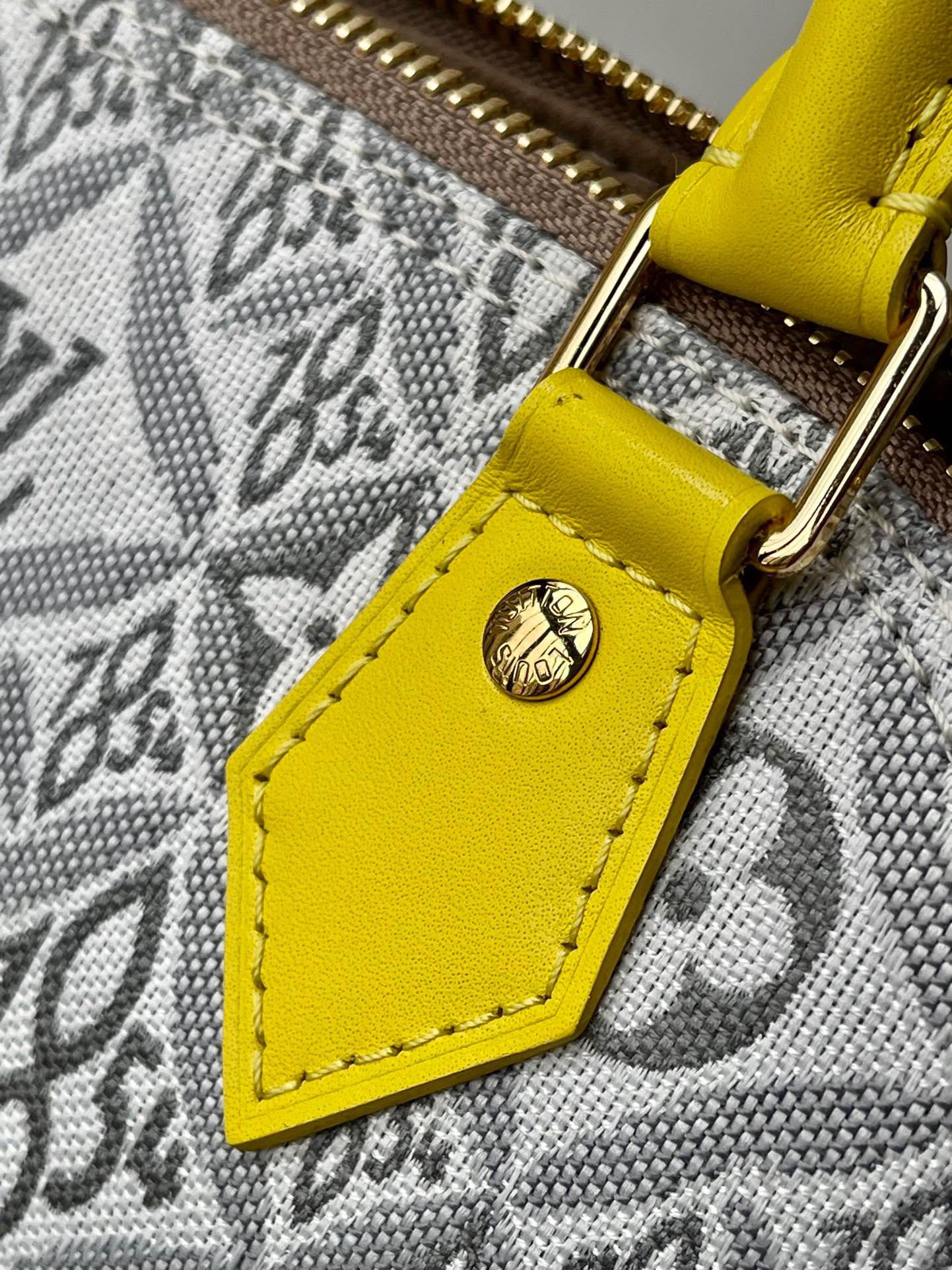 L*ouis V*uitton Top Bag