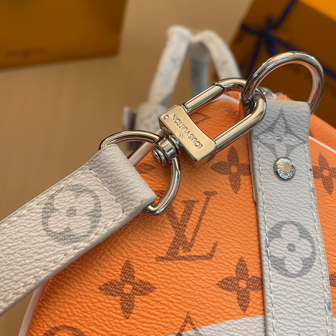L*ouis V*uitton Top Bag