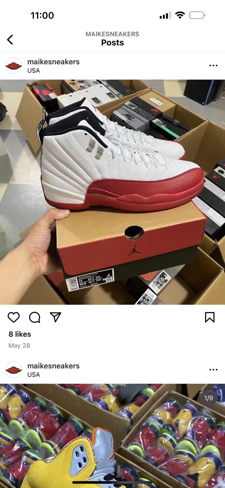Air Jordan 12