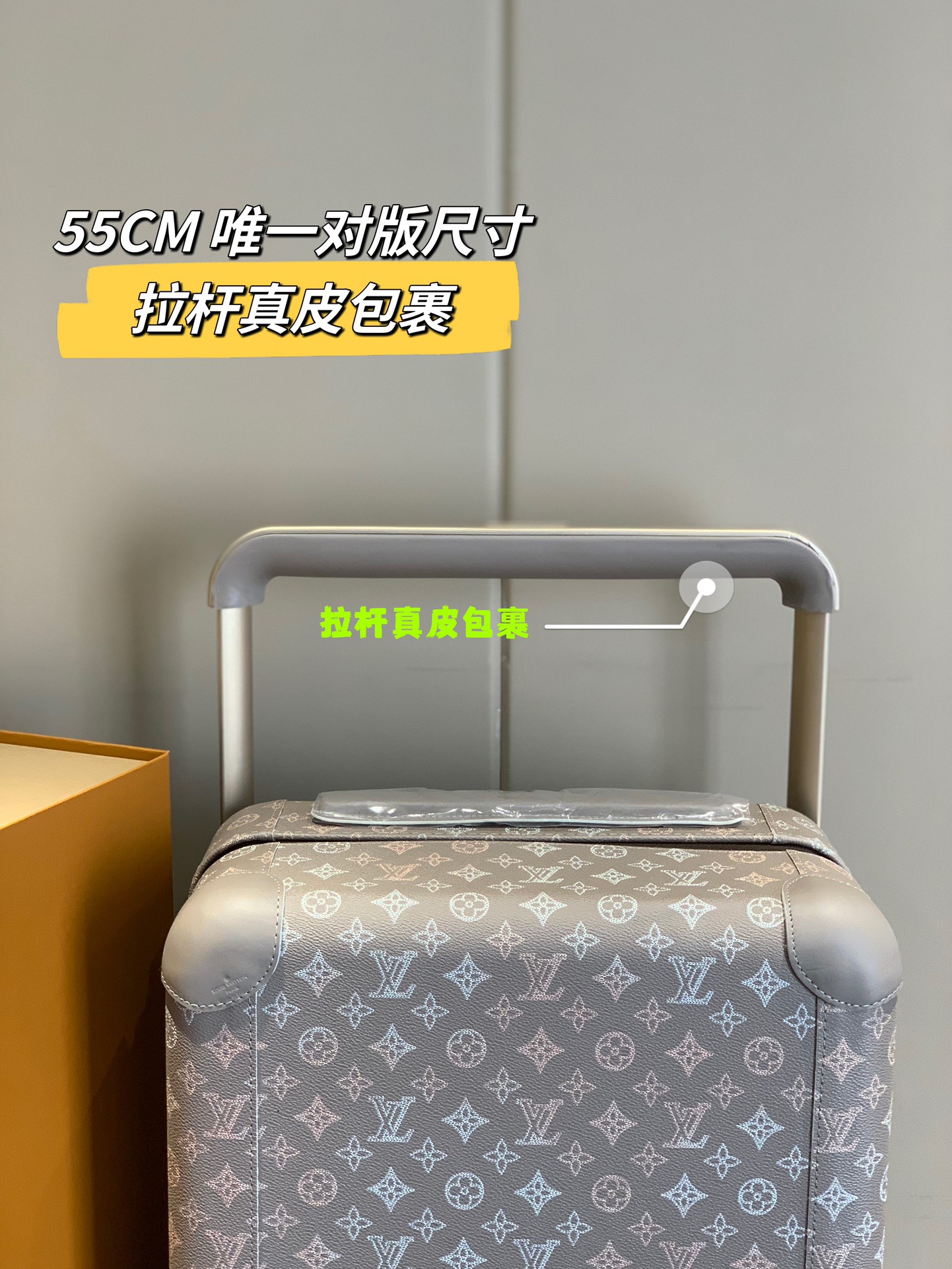 L*ouis V*uitton Luggage