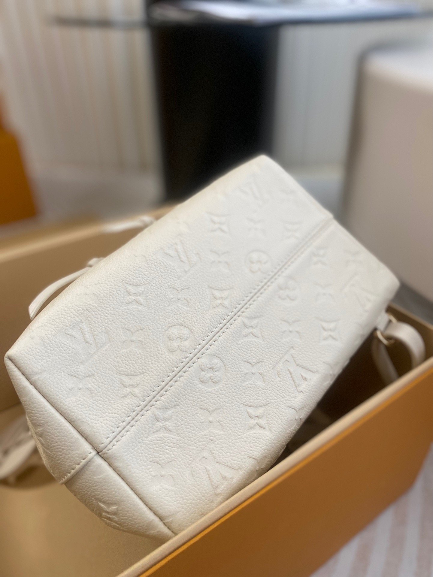 L*ouis V*uitton Top Bag