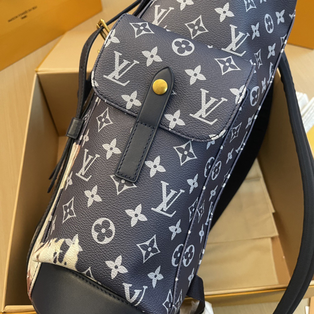 L*ouis V*uitton Top Bag