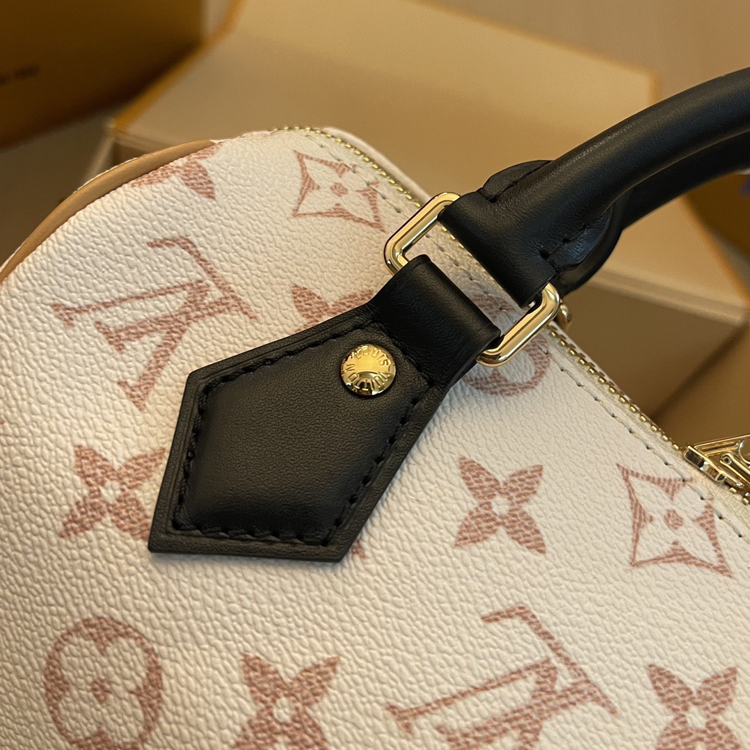 L*ouis V*uitton Top Bag