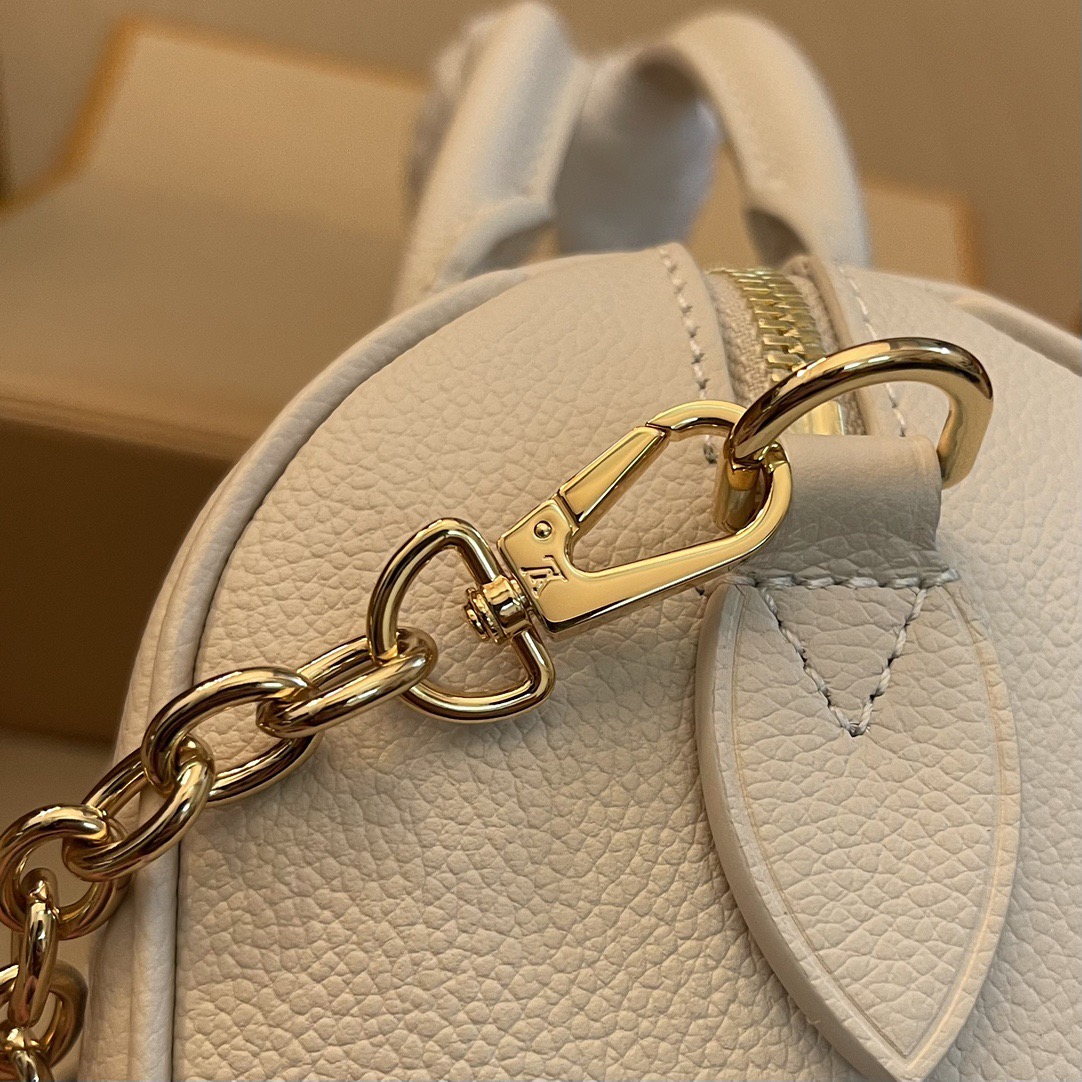 L*ouis V*uitton Top Bag
