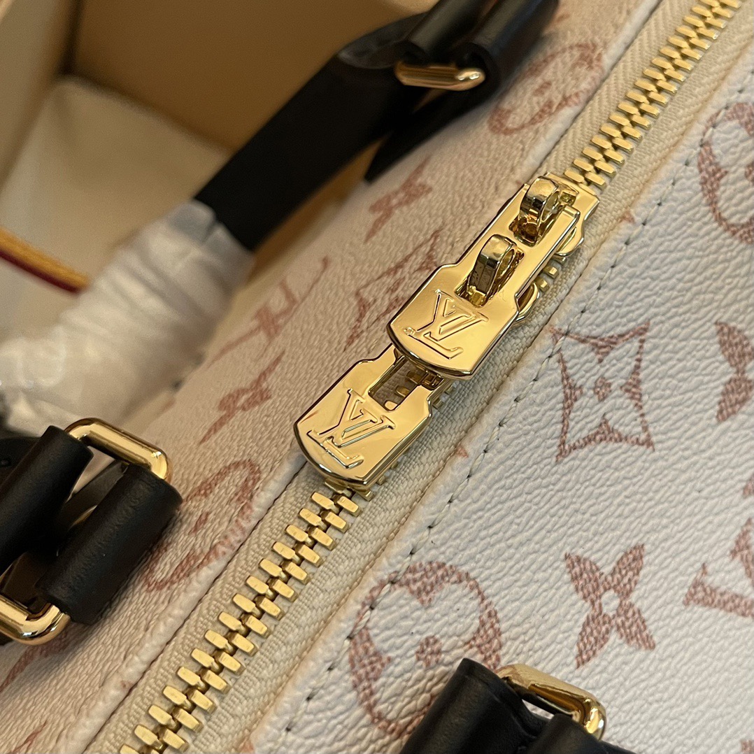 L*ouis V*uitton Top Bag