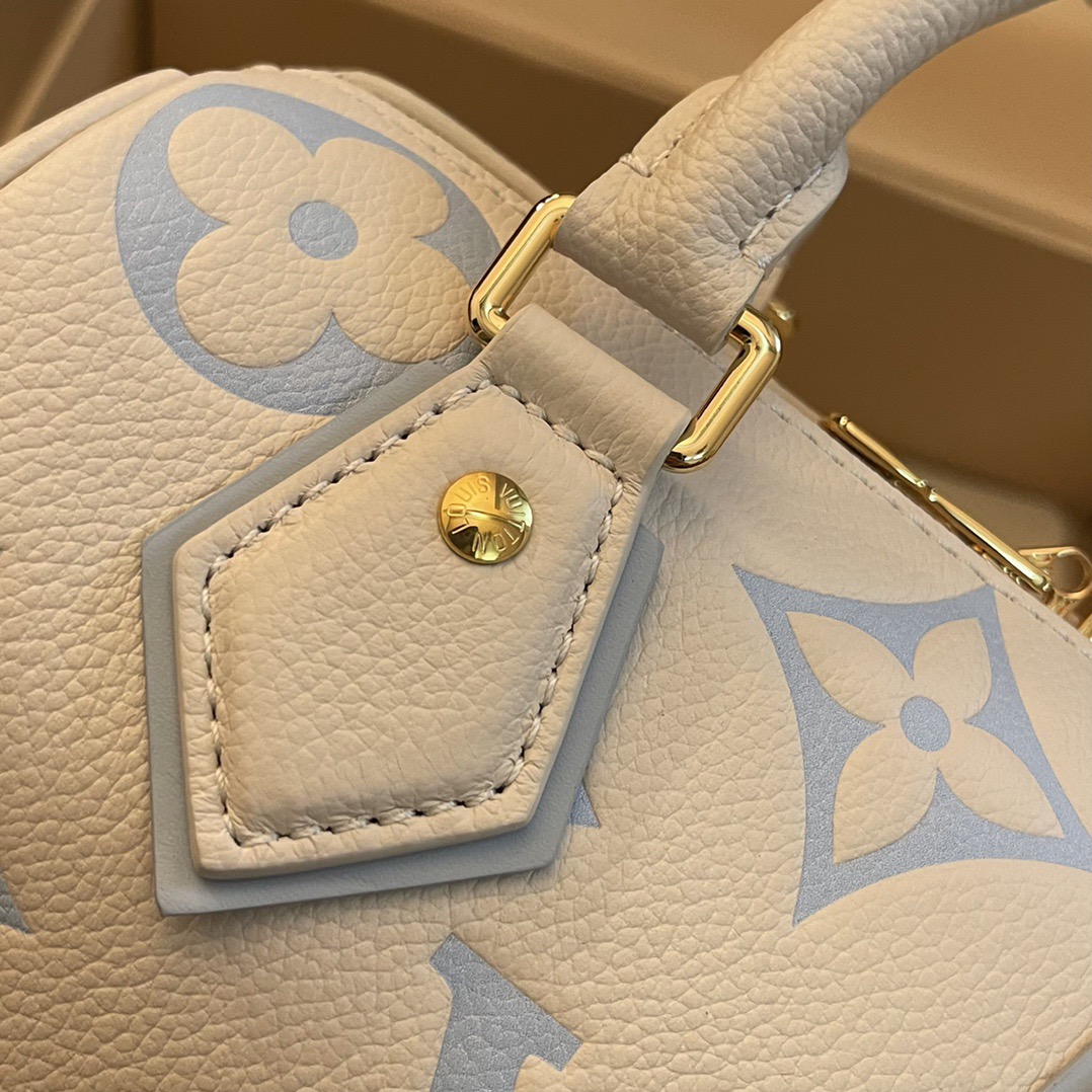 L*ouis V*uitton Top Bag