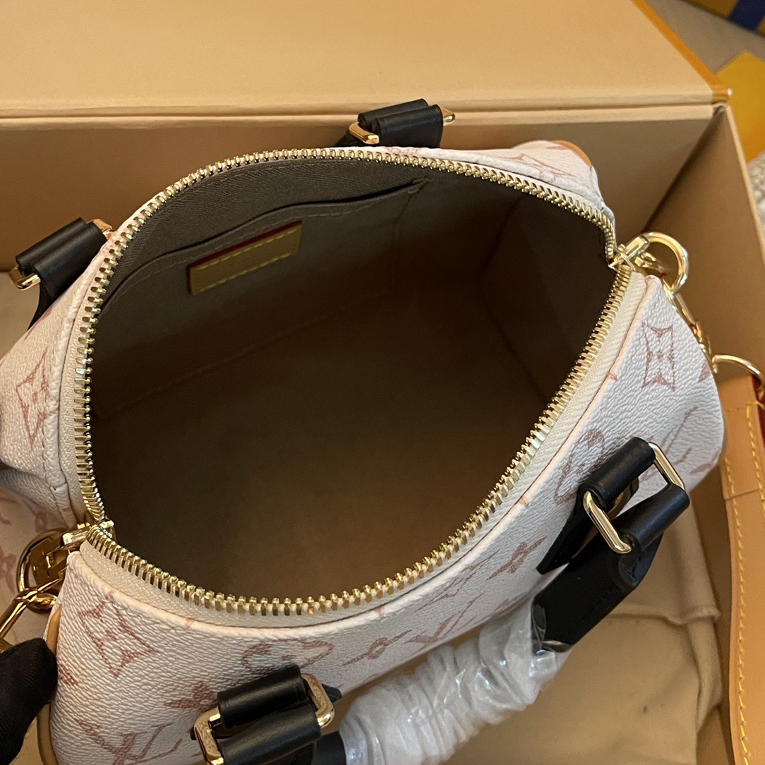L*ouis V*uitton Top Bag