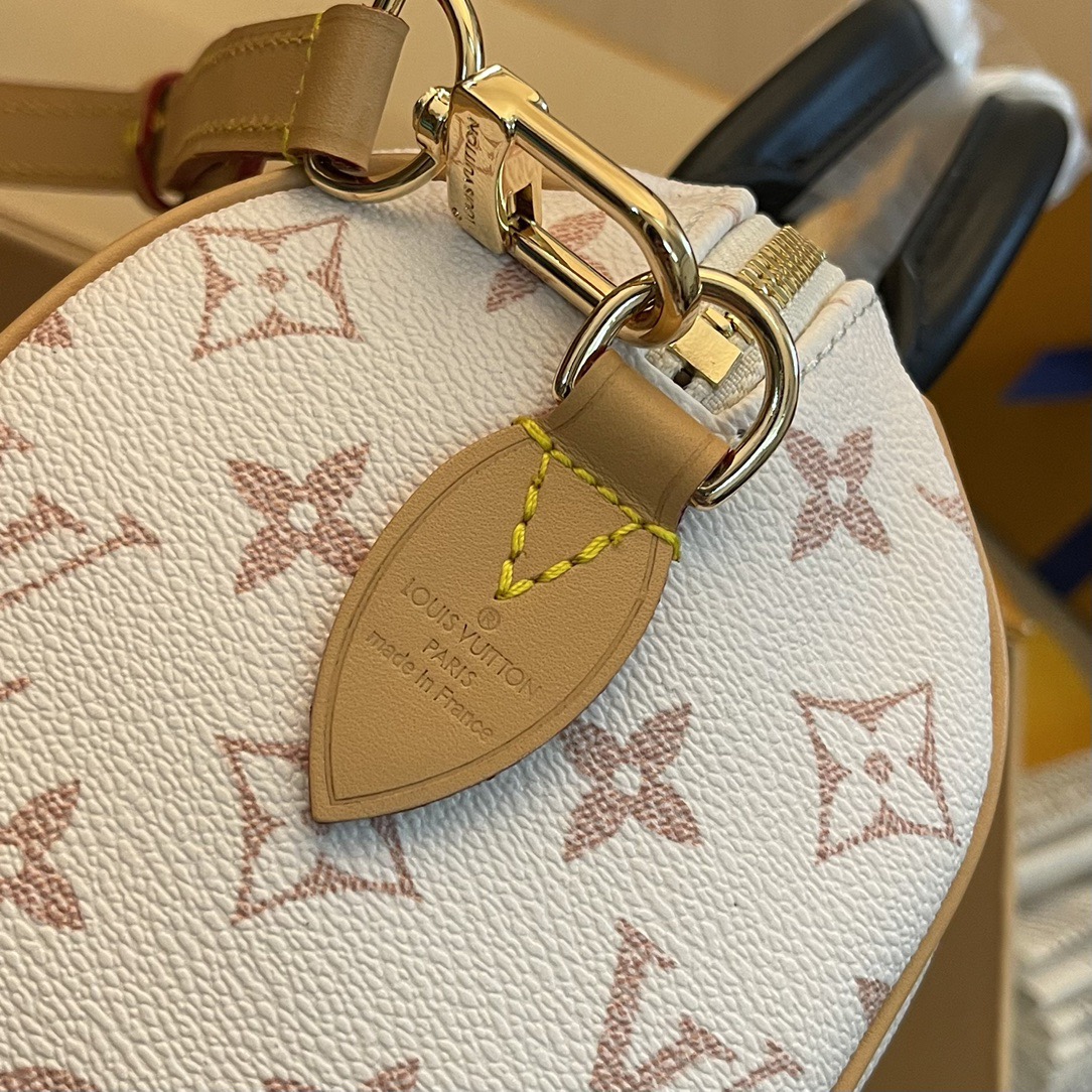 L*ouis V*uitton Top Bag