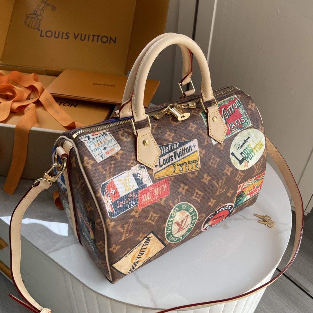 L*ouis V*uitton Top Bag
