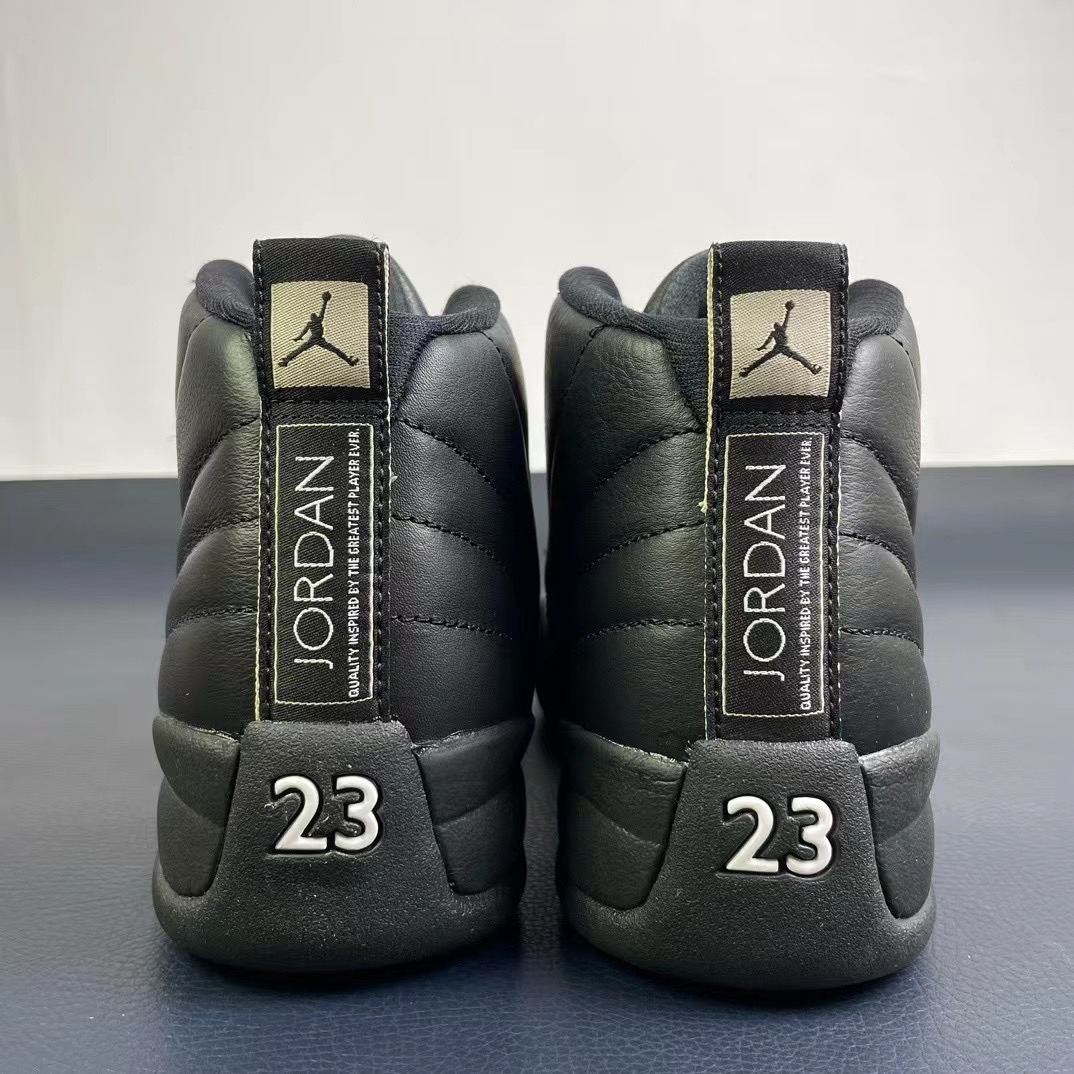 Air Jordan 12