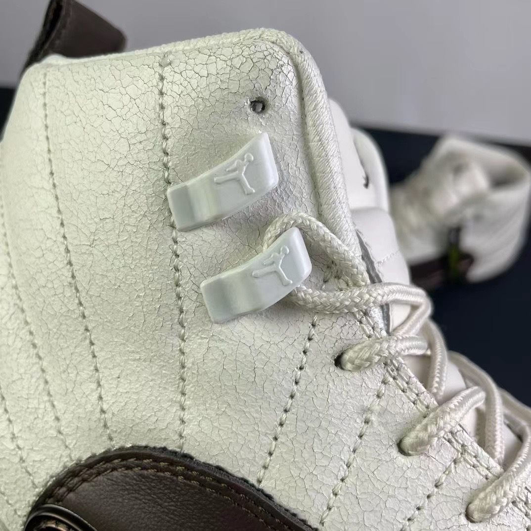 Air Jordan 12