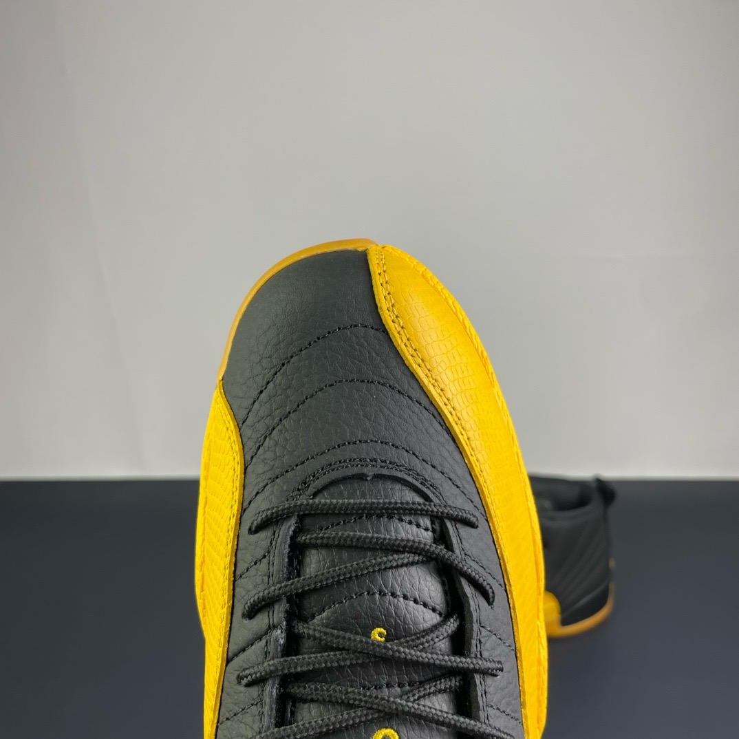Air Jordan 12